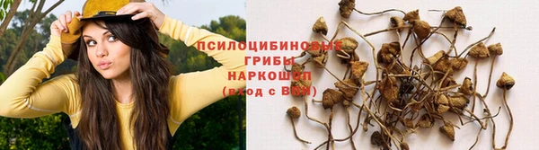 каннабис Михайловка