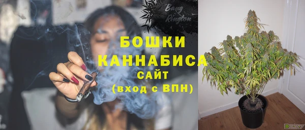 сатива Балабаново