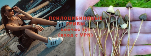 гидропоника Михайлов